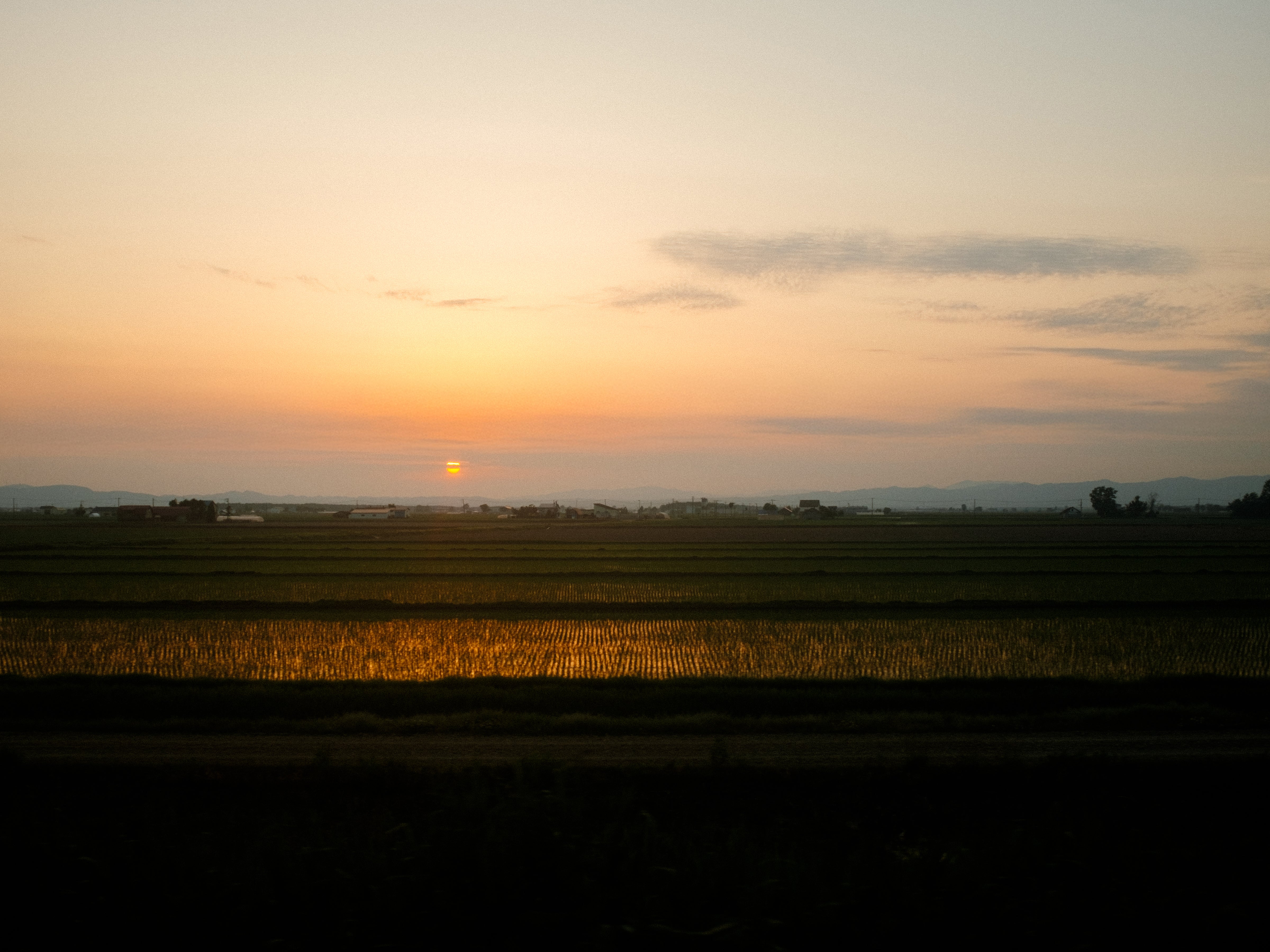 はじめまして、へそのやです。