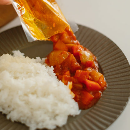 【やさい食堂】こだわりのカレー10袋セット（1種10袋or2種5袋ずつ）